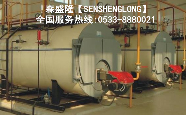 锅炉除垢剂SZ810产品应用