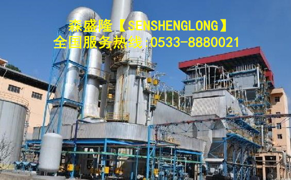 锅炉阻垢剂SG830产品应用